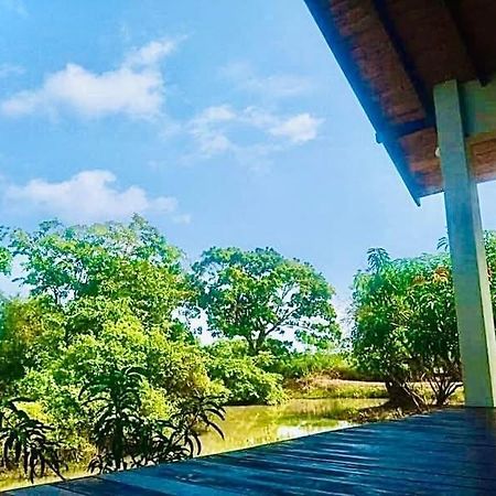 Thihawa Eco Huts Yala Acomodação com café da manhã Tissamaharama Exterior foto