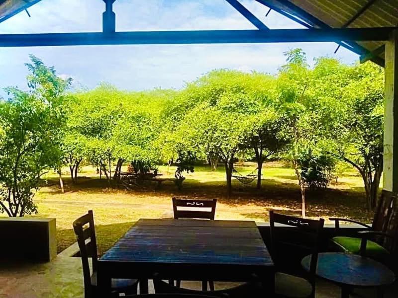 Thihawa Eco Huts Yala Acomodação com café da manhã Tissamaharama Exterior foto