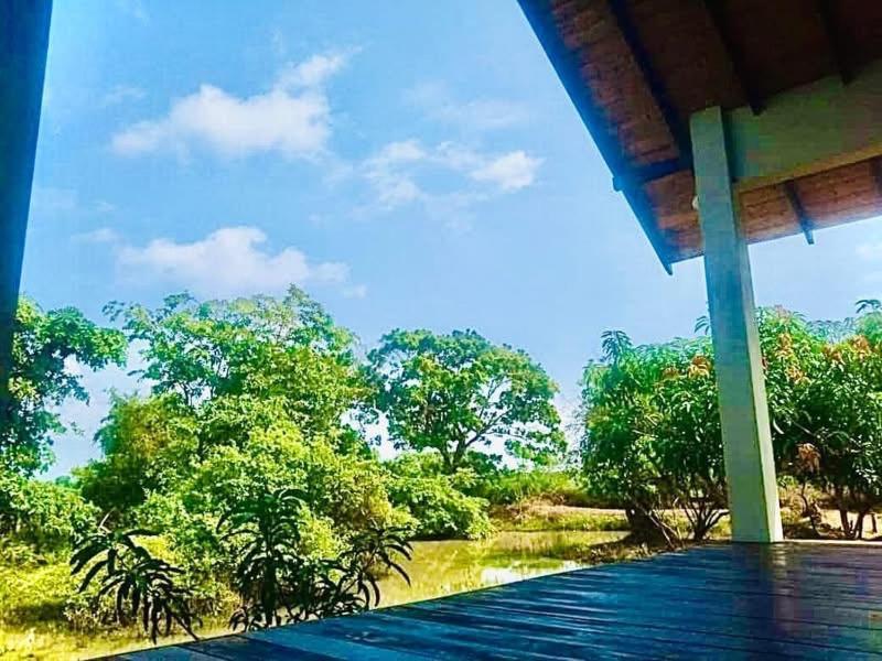 Thihawa Eco Huts Yala Acomodação com café da manhã Tissamaharama Exterior foto