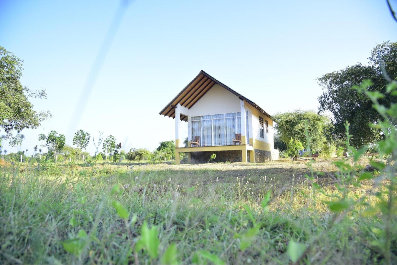 Thihawa Eco Huts Yala Acomodação com café da manhã Tissamaharama Exterior foto