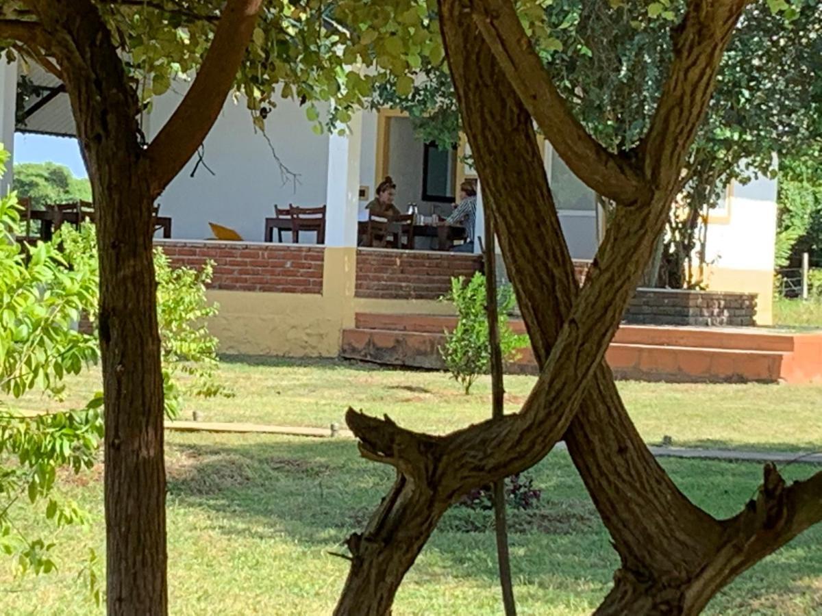 Thihawa Eco Huts Yala Acomodação com café da manhã Tissamaharama Exterior foto