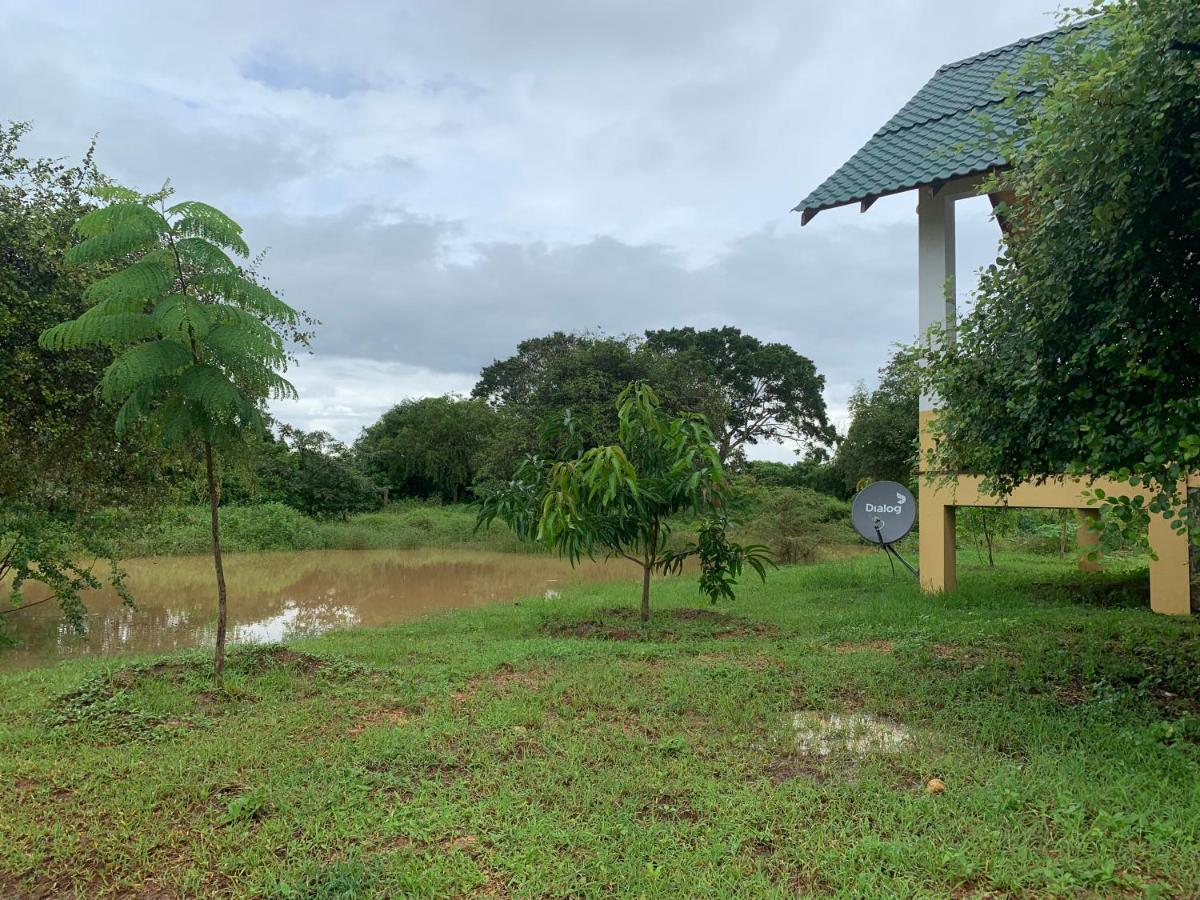 Thihawa Eco Huts Yala Acomodação com café da manhã Tissamaharama Exterior foto